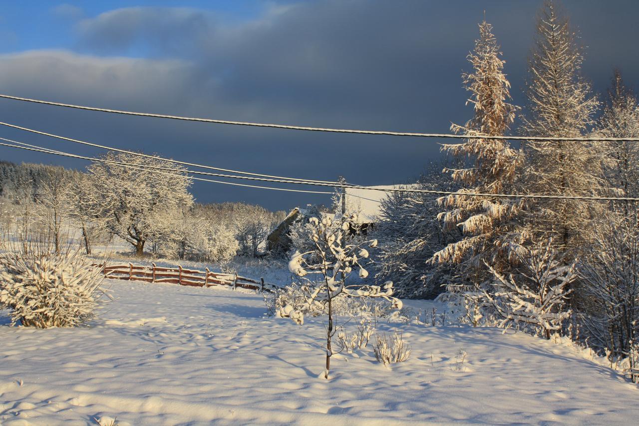 Dom na Klonowym Wzgórzu Stronie Slaskie Exterior foto