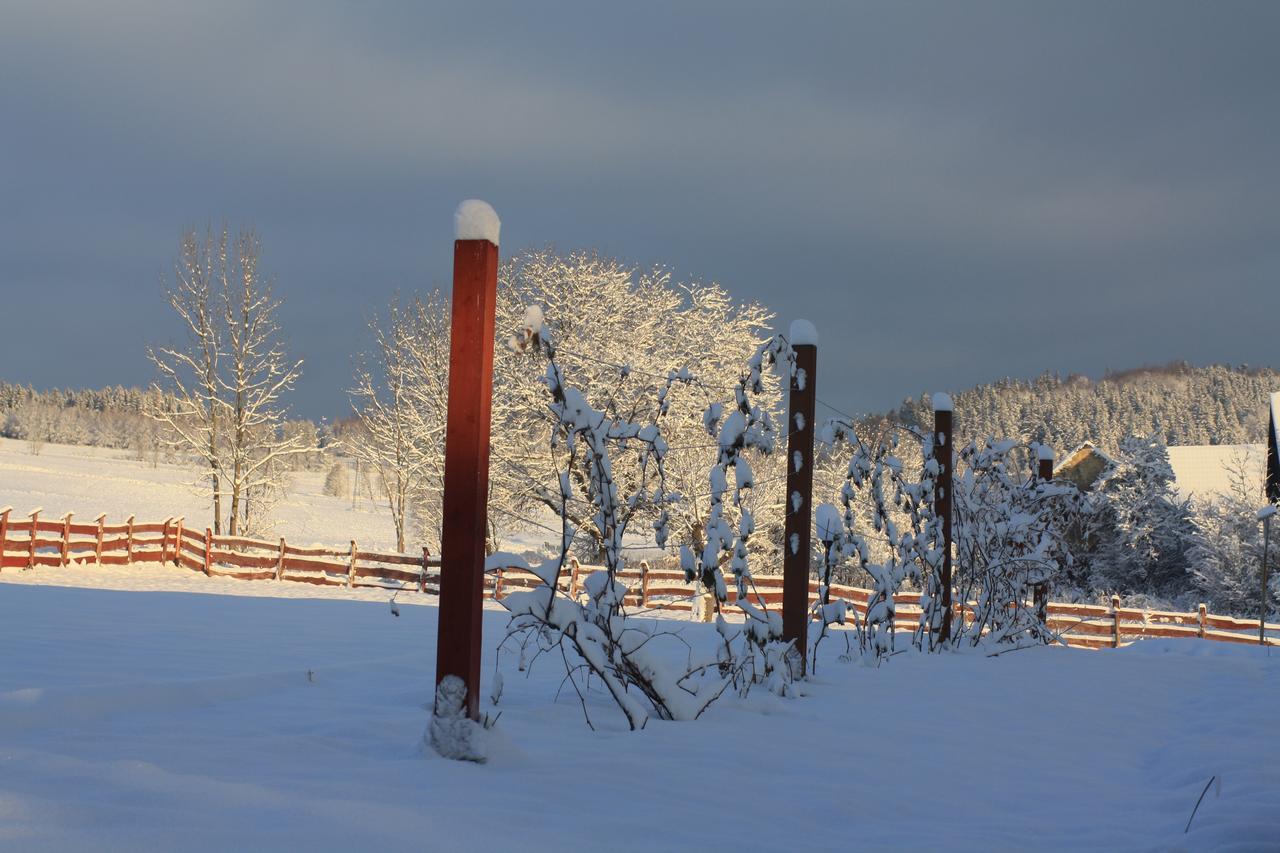 Dom na Klonowym Wzgórzu Stronie Slaskie Exterior foto